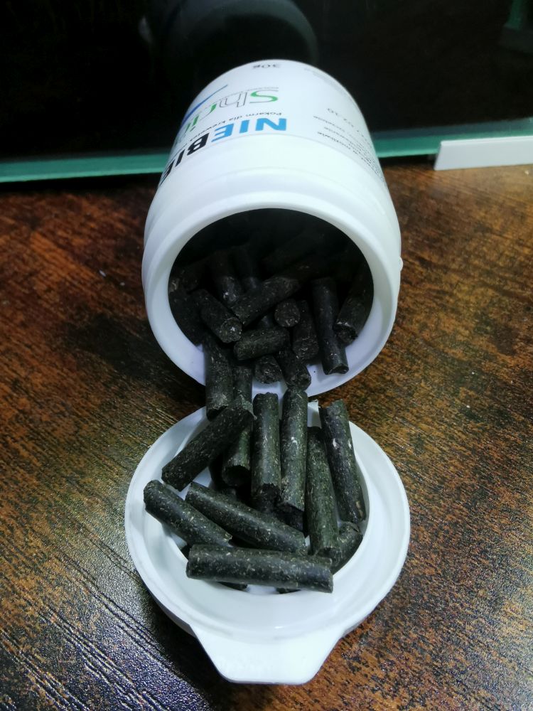 Pałeczki dla krewetek shrimp nature niebieski