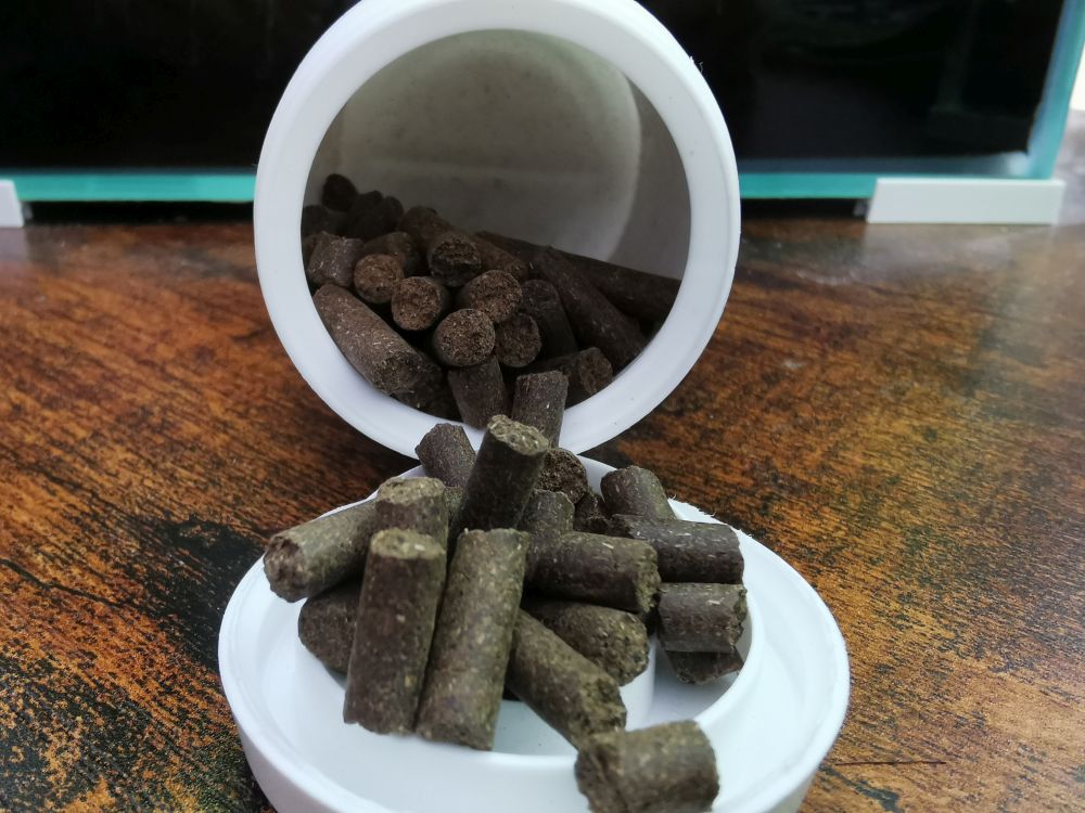 Shrimp nature czerwony cena Shrimp nature czerwony cena