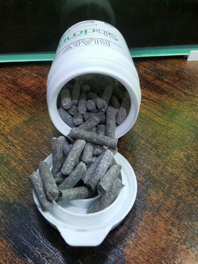 Shrimp nature pellet biały