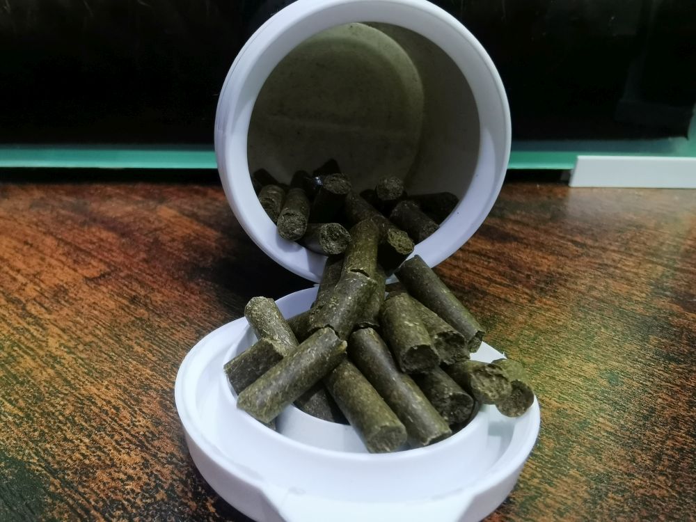 Shrimp nature żółty cena